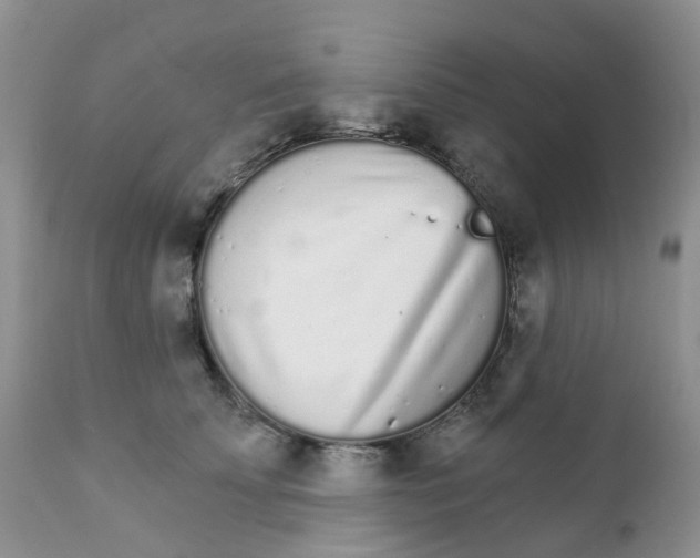 X0000111930707200908241116