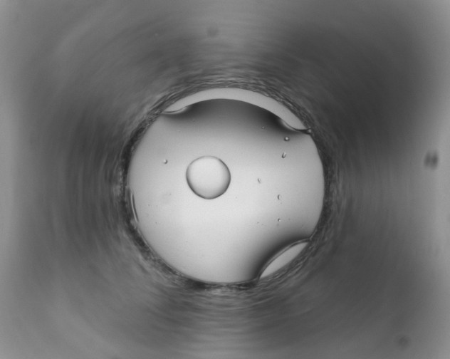 X0000111930708200908241116