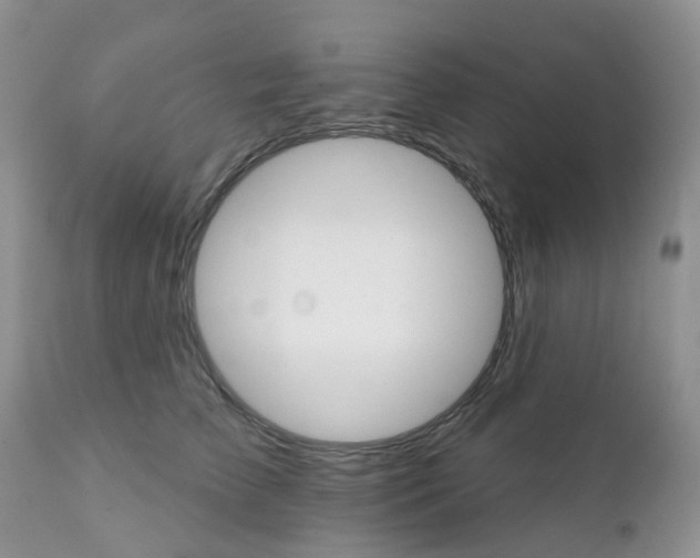 X0000111930709200908241116