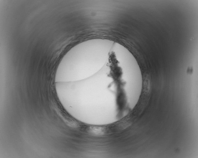 X0000111930710200908241116