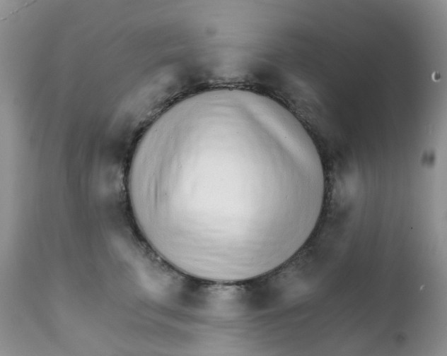 X0000111930711200908241116