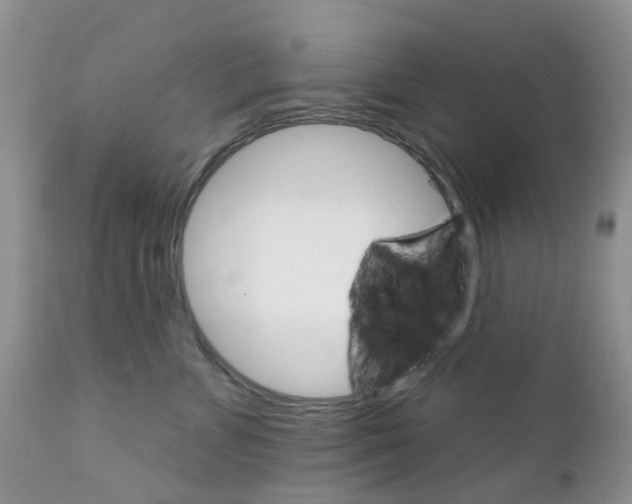 X0000111930715200908241116