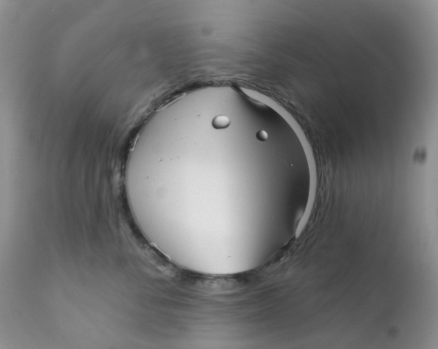 X0000111930716200908241116