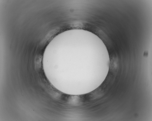 X0000111930717200908241116