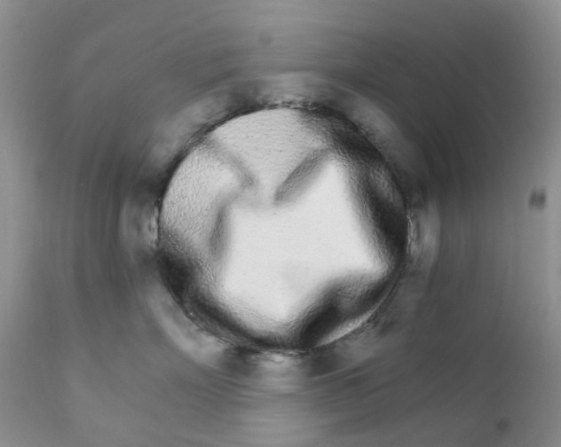 X0000111930718200908241116