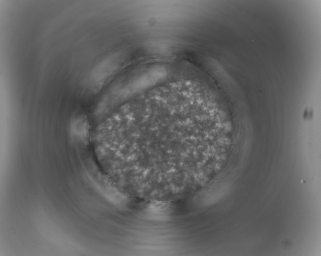 X0000111930720200908241115