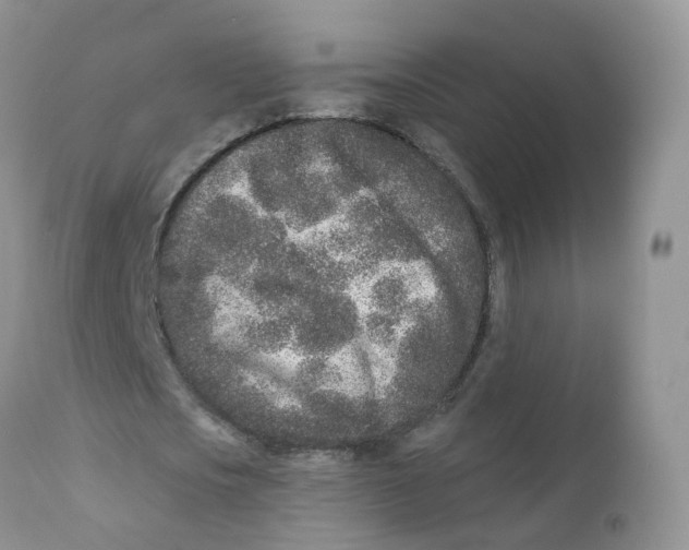 X0000111930721200908241115