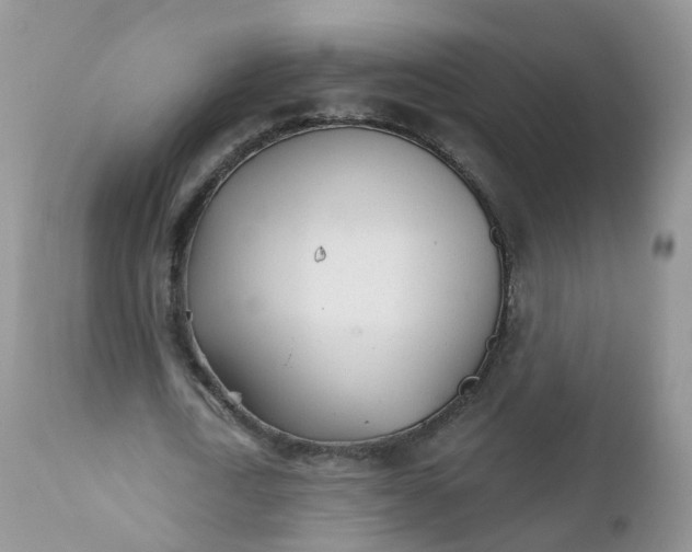 X0000111930722200908241115