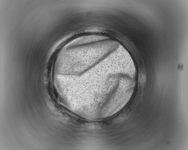 X0000111930724200908241115