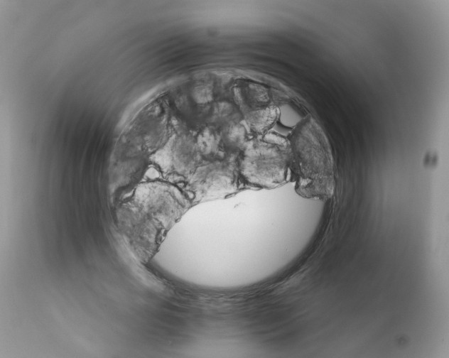 X0000111930725200908241115