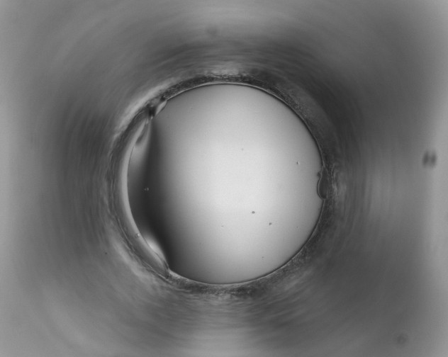 X0000111930728200908241115