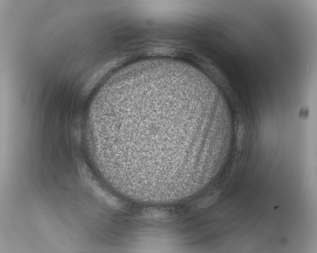 X0000111930729200908241115