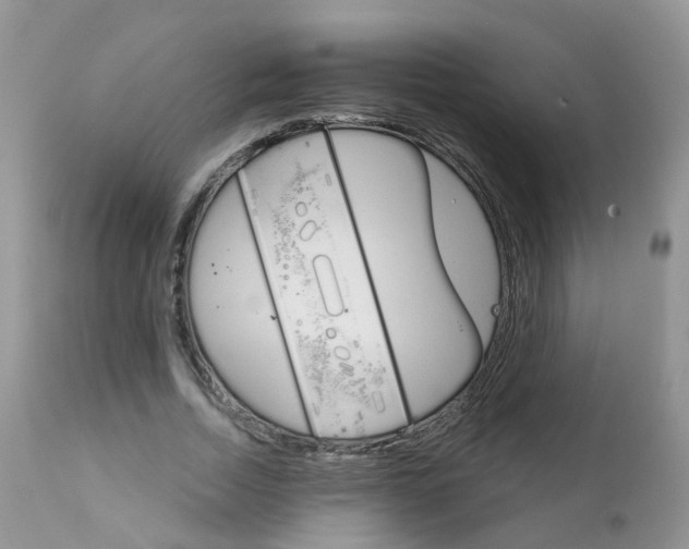 X0000111930730200908241115