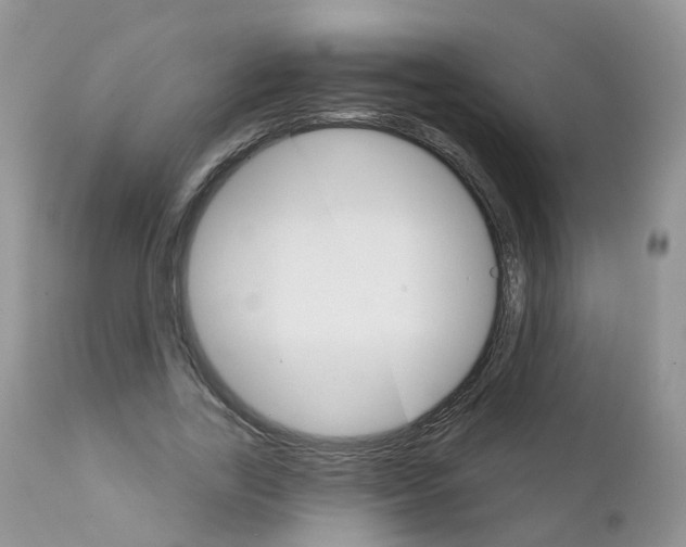 X0000111930731200908241115