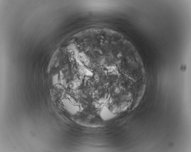 X0000111930737200908241115