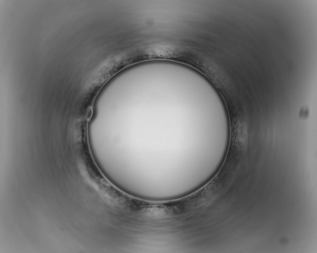 X0000111930738200908241115