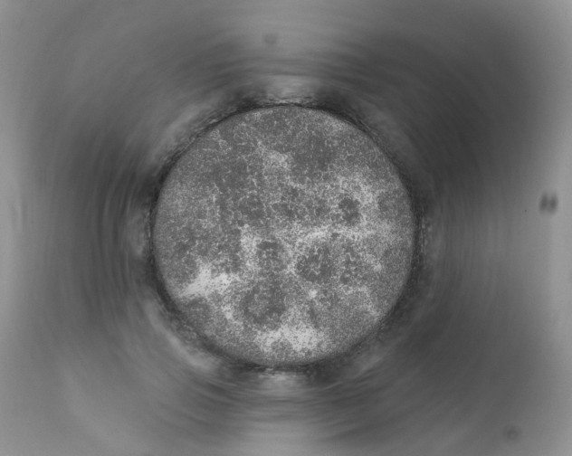 X0000111930741200908241115