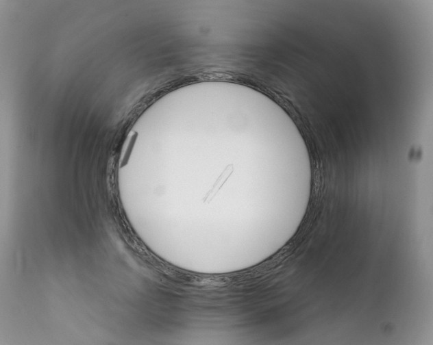 X0000111930742200908241115