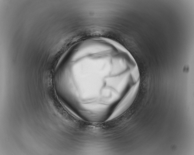 X0000111930743200908241115