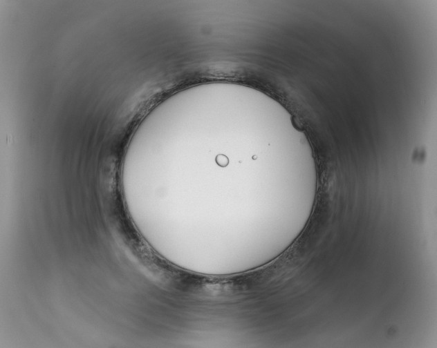 X0000111930744200908241115