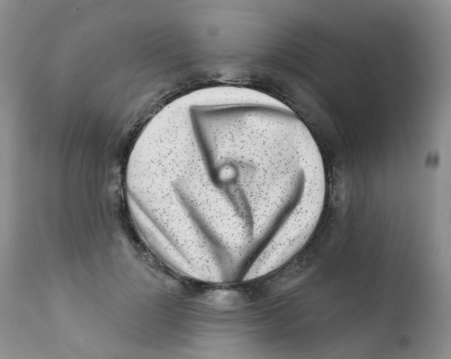 X0000111930748200908241115