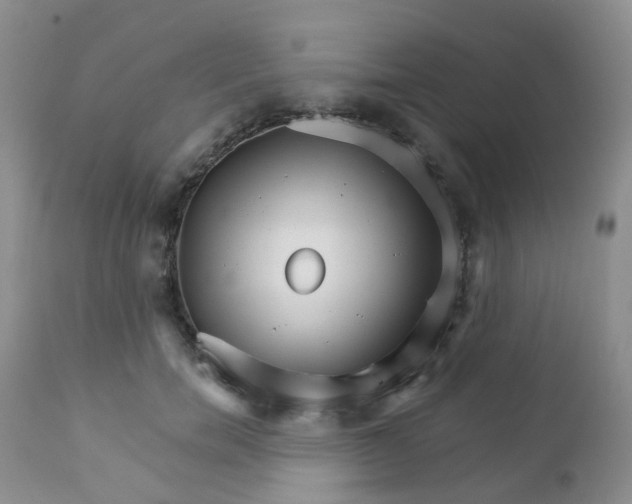 X0000111930750200908241115