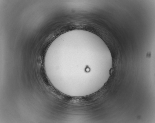 X0000111930752200908241115