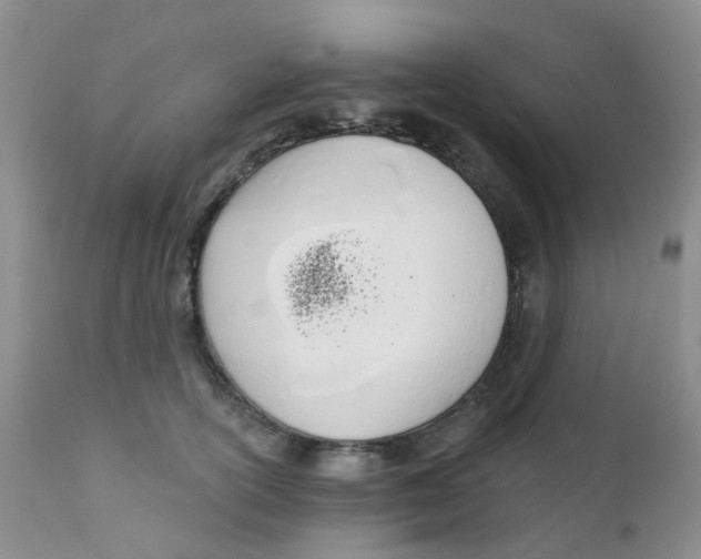 X0000111930754200908241115