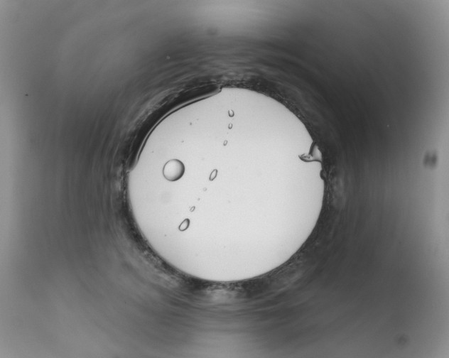 X0000111930756200908241115