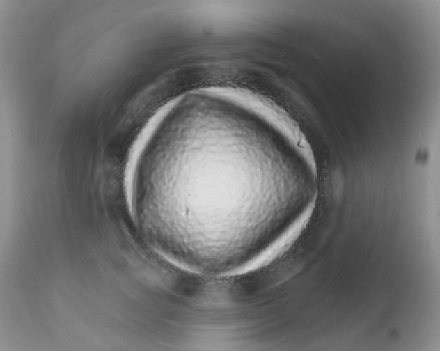 X0000111930757200908241115