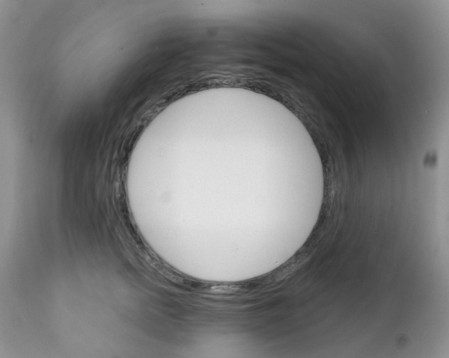 X0000111930758200908241115