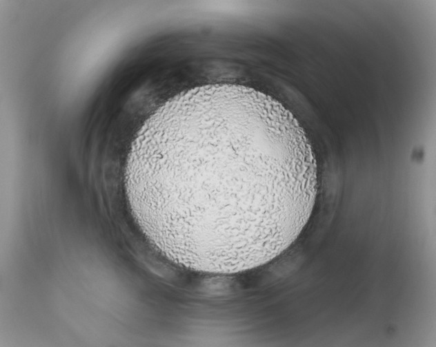 X0000111930761200908241115