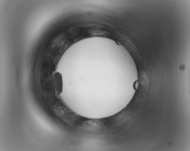 X0000111930763200908241115