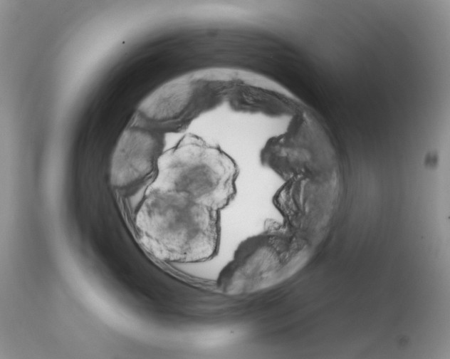 X0000111930765200908241115