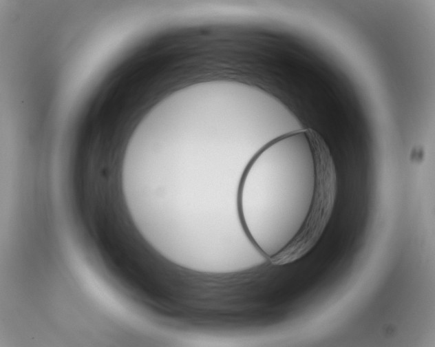 X0000111930766200908241115