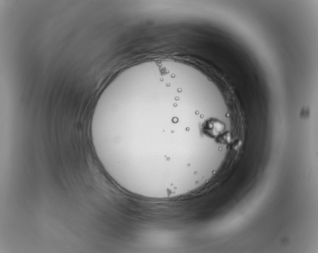 X0000111930767200908241115