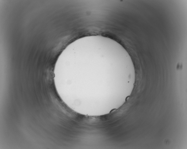 X0000111930768200908241115