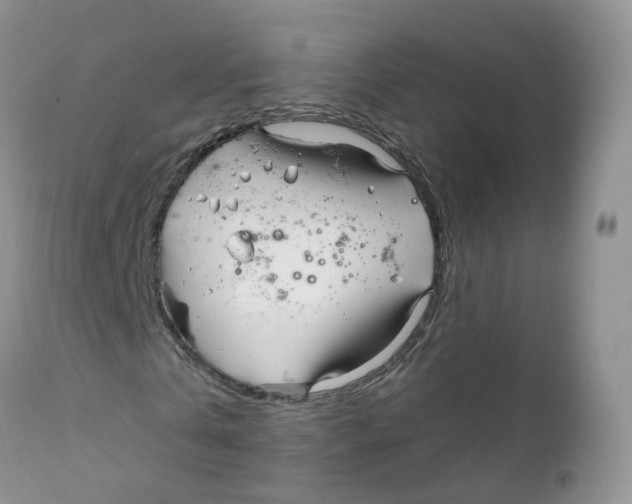 X0000111930769200908241115