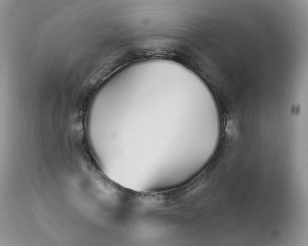 X0000111930771200908241115