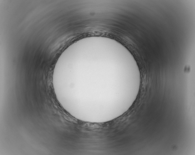 X0000111930774200908241115