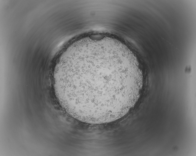 X0000111930776200908241115