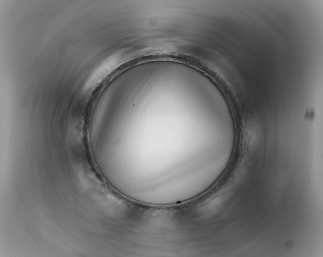 X0000111930778200908241115