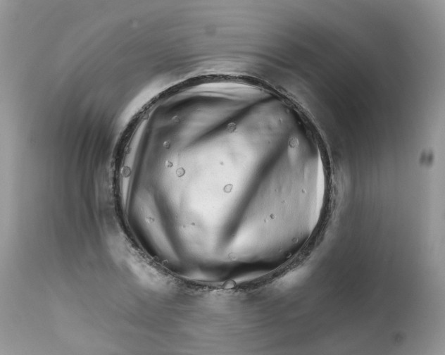 X0000111930779200908241115