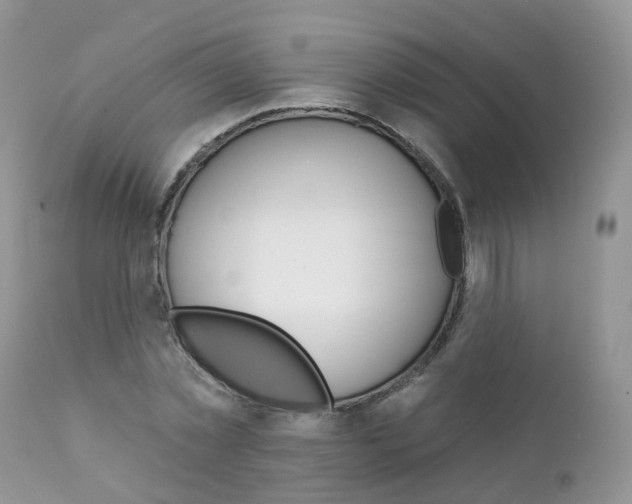 X0000111930781200908241114