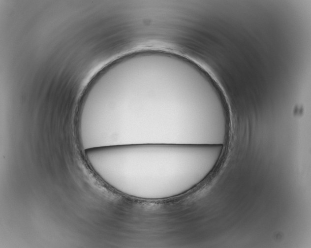 X0000111930783200908241114