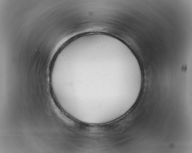 X0000111930792200908241114