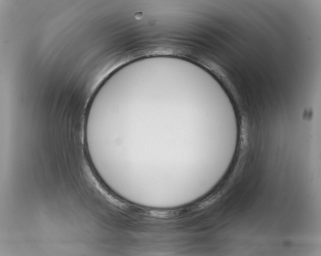 X0000111930794200908241114