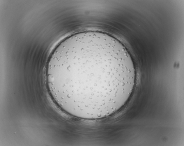 X0000111930798200908241114