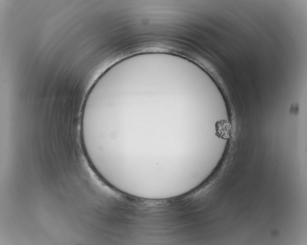 X0000111930802200908241114