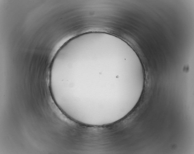 X0000111930804200908241114